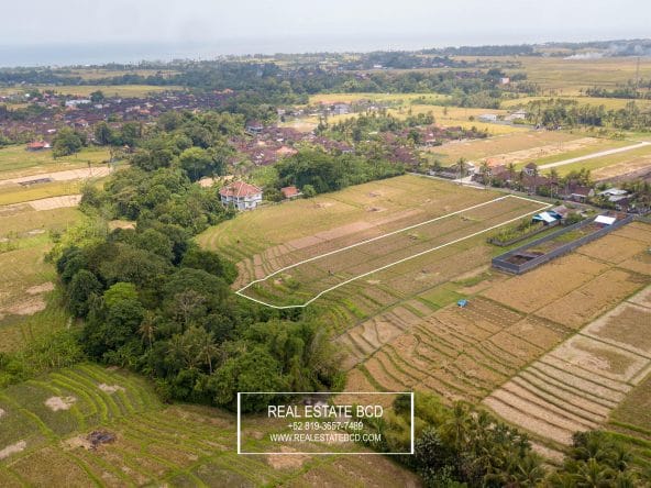 Leasehold Land For Sale, Kedungu Bali Tabanan